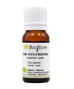 Scots pine (Pinus sylvestris) BIO, 10 ml